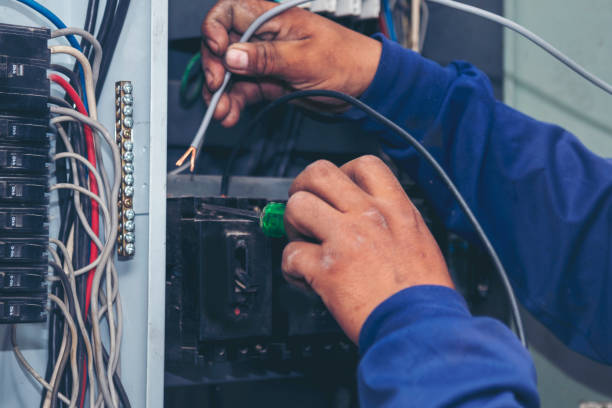 Best Local Electrician Companies  in Brogden, NC