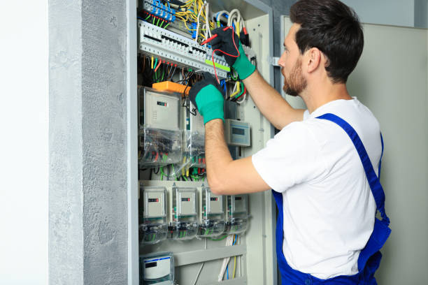 Best Electric Panel Repair  in Brogden, NC